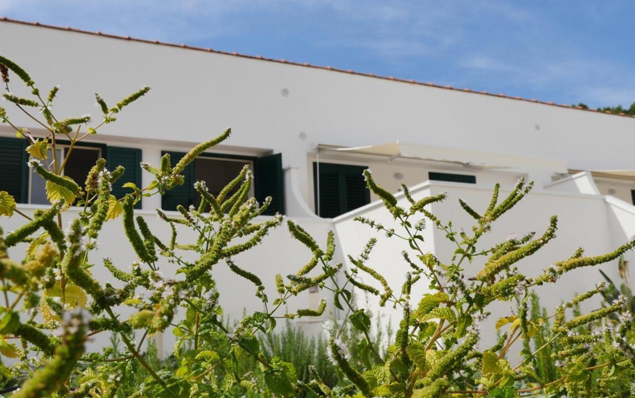 Dorata * Peschici